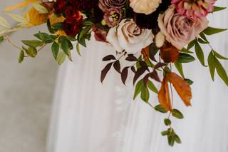 Springvine Design - 11