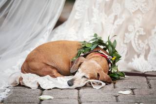 Root Photography - 15