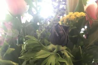 A Florist of Covington - 4