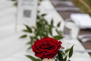 Here Is To Love Wedding Day Coordination - 8