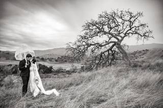 Chasing Chickadees Photography - 16