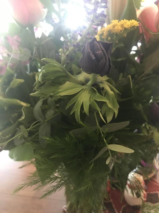 A Florist of Covington - 1