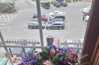 Gilly's Lilies - 23