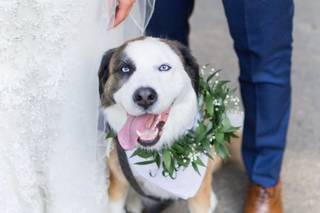 Lindsey Zitzke Photography - 66