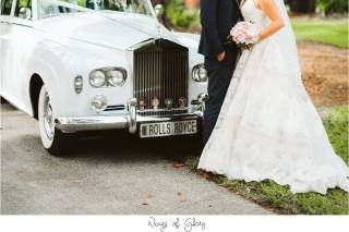 Wings Of Glory Photography - 21
