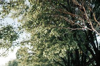 Tiya Studios - 8