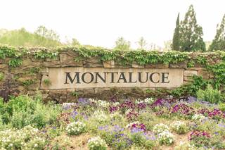 Montaluce Winery - 39
