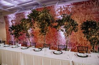Excellent Party  Rentals - 5