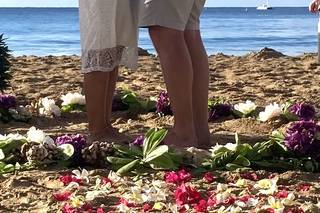 The Hawaiian Minister - 22