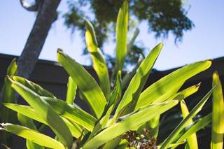 Christine Tustin Photography - 7