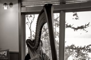 Alishia Joubert-Bellingham area Harpist - 5