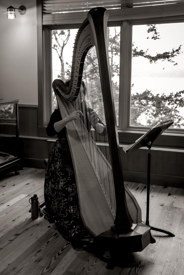 Alishia Joubert-Bellingham area Harpist - 2