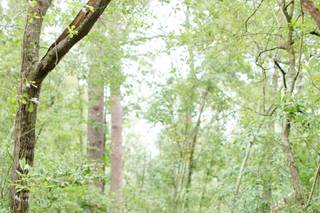Dakota Hersey Photography - 55