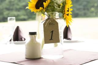 The Boyd Family Farm - 3