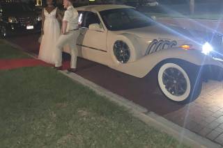 Exotic Limo - 77