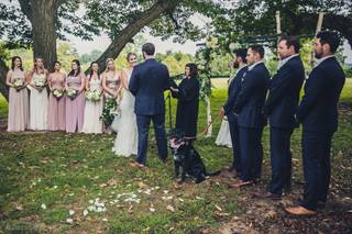 Elizabeth Frumin, Weddings With Heart - 18