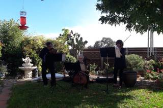 Vintage Strings - 4