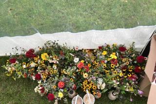 Flower Scout - 19