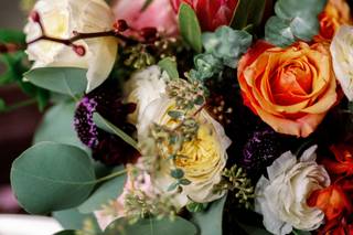 The Plant Gallery - 13