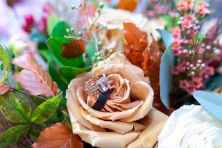DSPhotography - 7