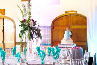 Party and Petal - 5