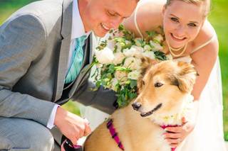 Cynthia Viola Photography - 25