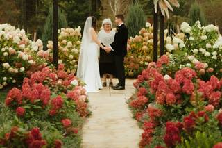 Weddings by Janet Dunn - 21