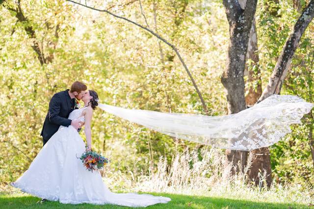 Marquee Photo Video 5
