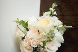 Springvale Floral - 55