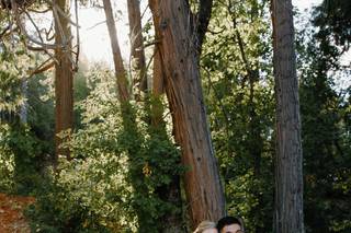 Lake and Wood - 21