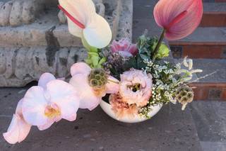 Lovestruck Blooms - 15
