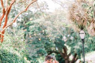 Carolina Palms Photography - 20