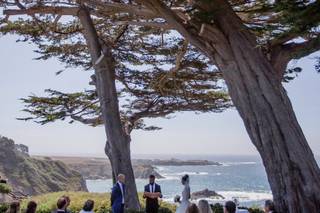 CYoung Photography - 11