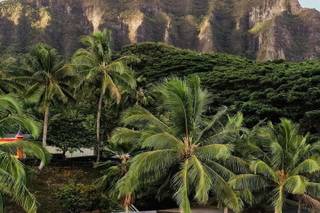 Kualoa Ranch - 20