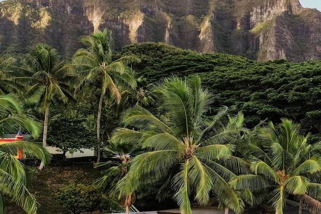 Kualoa Ranch 2