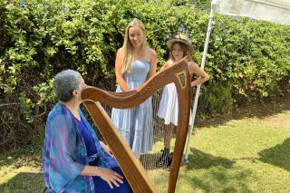 Magical Harps by Amy Lynn Kanner - 12
