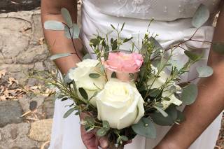 Angela Blossoms - 2