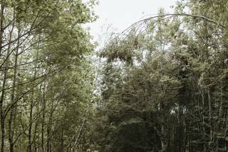 Magic Arrow Photography - 80