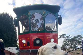 Golden State Trolley Co. - 31