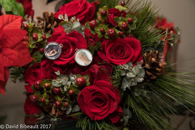 David Bibeault Photography - 4