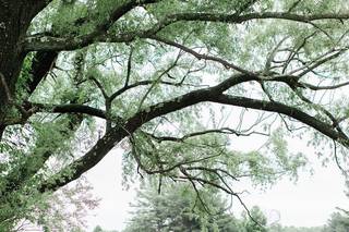 Candice Adelle Photography - 38