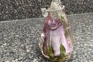 Wild Coast Flower Preservation - 10