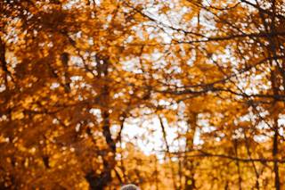 Joanna Scholle photography - 10