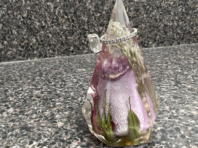 Wild Coast Flower Preservation - 1