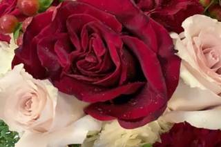 London Flower and Variety Inc. - 128