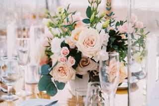 Blooms by Dreams - 5