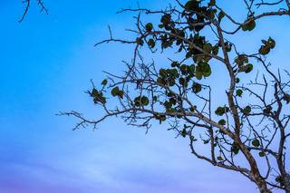 Organic Moments Photography - 29