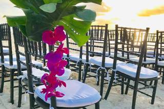 Bahamas Wedding Planner - 58