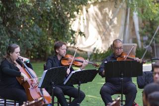 Eliana Strings - 27