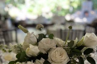 Soleil Flowers - 68